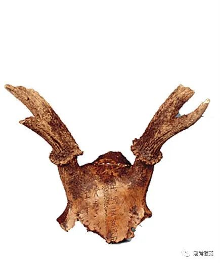 穿越时空的鉴证：华夏文明，唯一由古文物印证的古老文明（二）