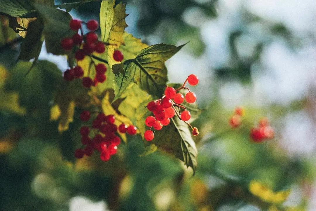 今年三伏很厉害，从这一天开始要注意！