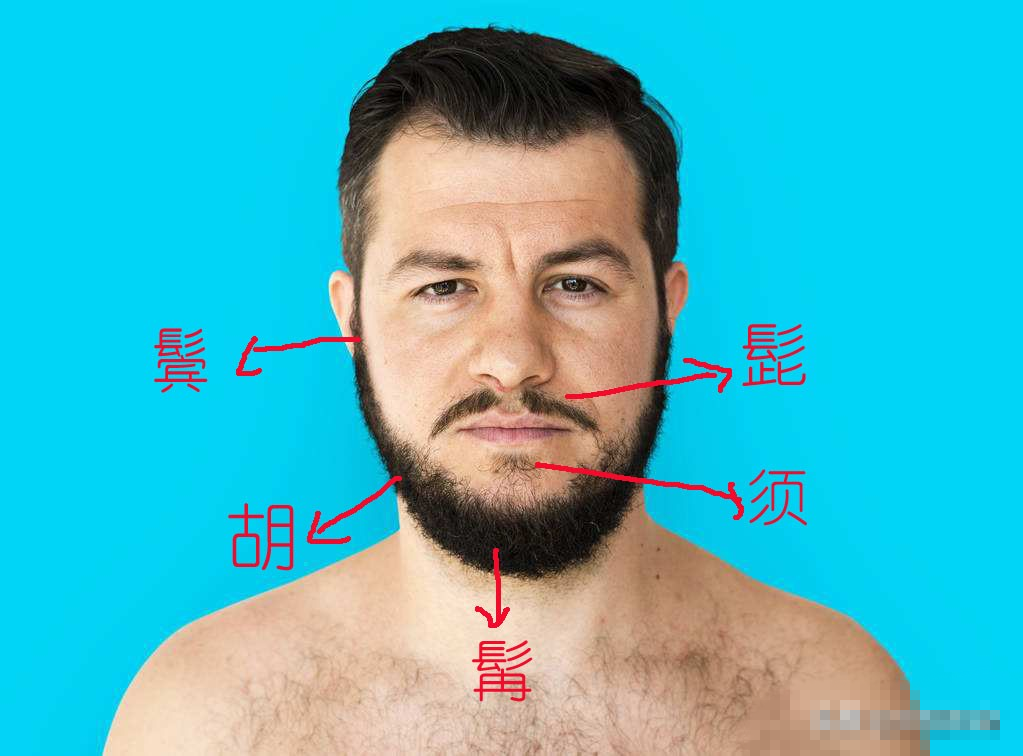 文章标题-2 胡须的秘密:古代相书中的独特解读