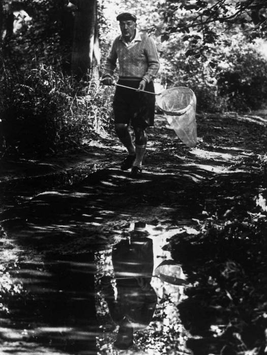 后悔没早点遇到，有生之年一定要读的1001本书！