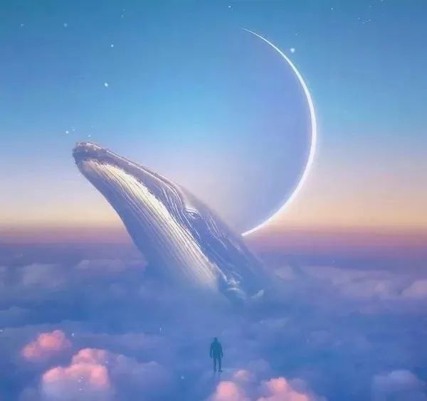 命，你信不信都在那里！