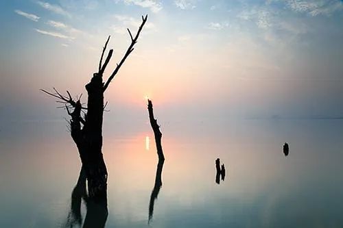 十二长生图 | 这几个字，代表了你一生不同的状态！