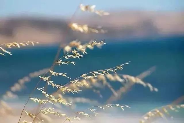 十二长生图 | 这几个字，代表了你一生不同的状态！