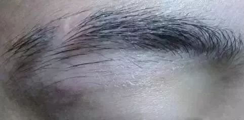 十种眉毛有碍运势！