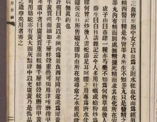 《壺隱片片錄》