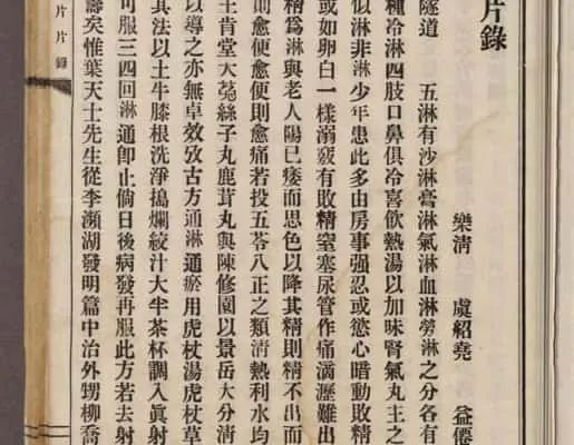 《壺隱片片錄》