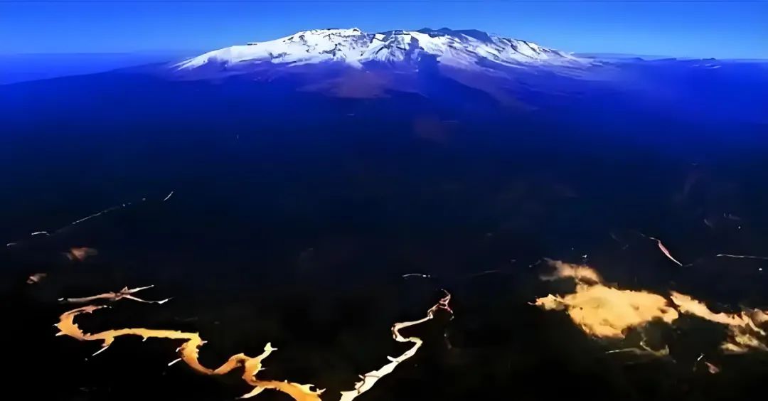 家中一旦出现这个动物，千万要注意了！