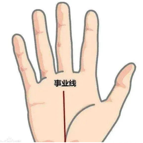 文章标题-2 相学——手掌上的主纹与副纹