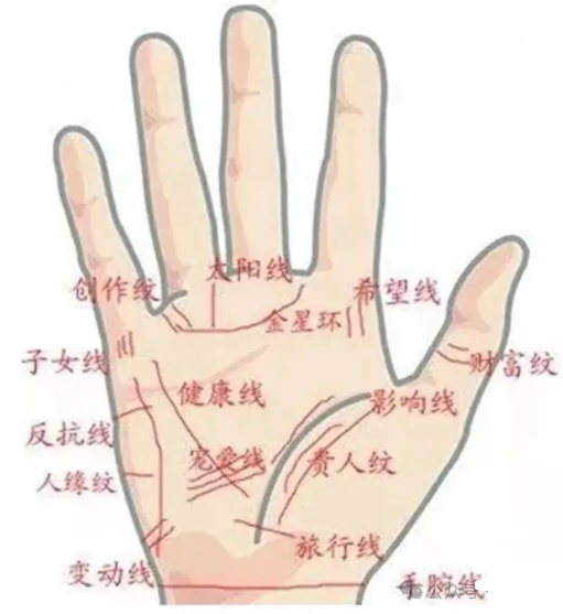 文章标题-6 相学——手掌上的主纹与副纹
