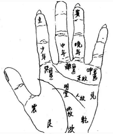 文章标题-8 相学——手掌上的主纹与副纹