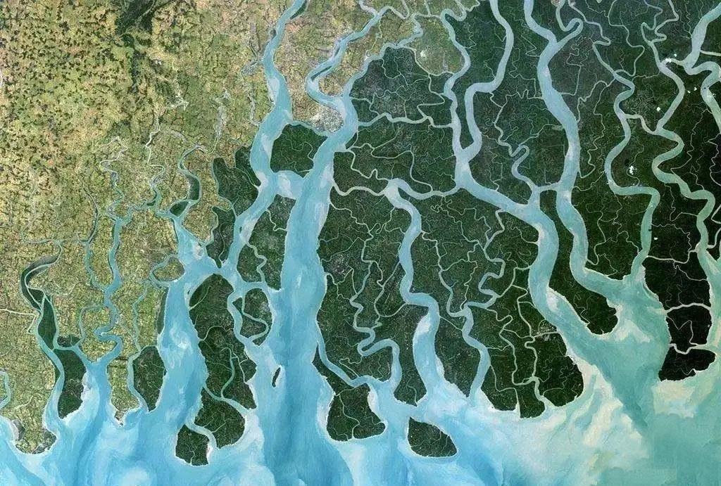 孟加拉国民的贫穷，从来不是因为人口和地理