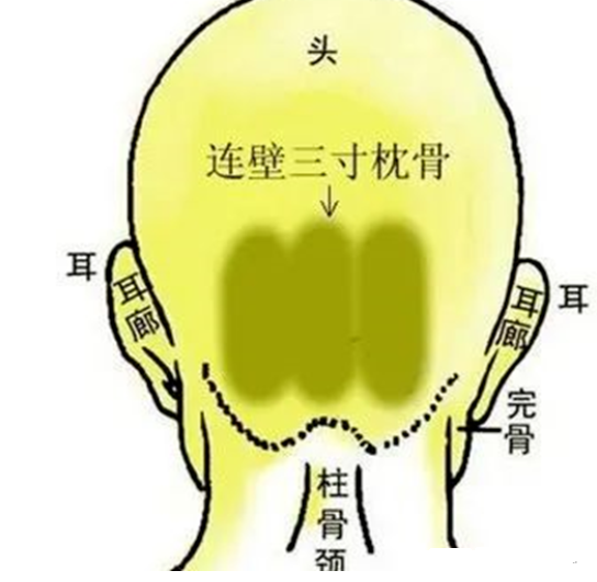 相学——九根贵骨与十二骨起的福气解读