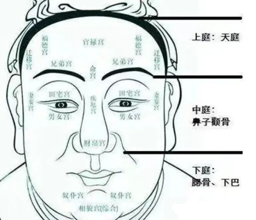 相学——九根贵骨与十二骨起的福气解读