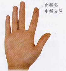 文章标题-1 相学——手相 - 手指