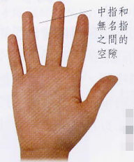 文章标题-2 相学——手相 - 手指