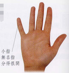 文章标题-3 相学——手相 - 手指