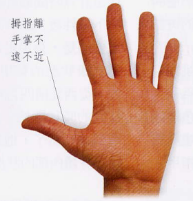 文章标题-5 相学——手相 - 手指
