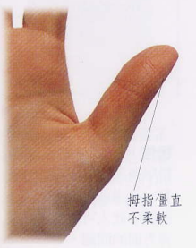文章标题-7 相学——手相 - 手指