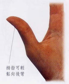 文章标题-8 相学——手相 - 手指