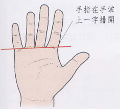 文章标题-9 相学——手相 - 手指