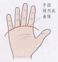 文章标题-10 相学——手相 - 手指