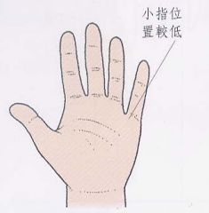 文章标题-11 相学——手相 - 手指