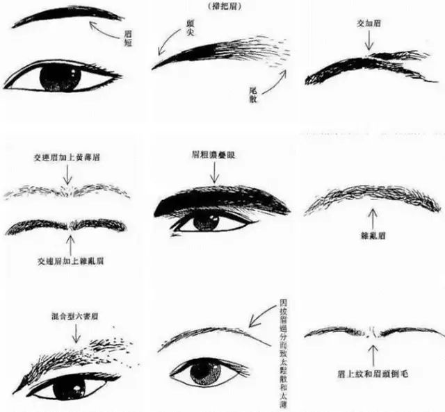 文章标题-4 麻衣相法:发论尊贵,额定前程【图文】