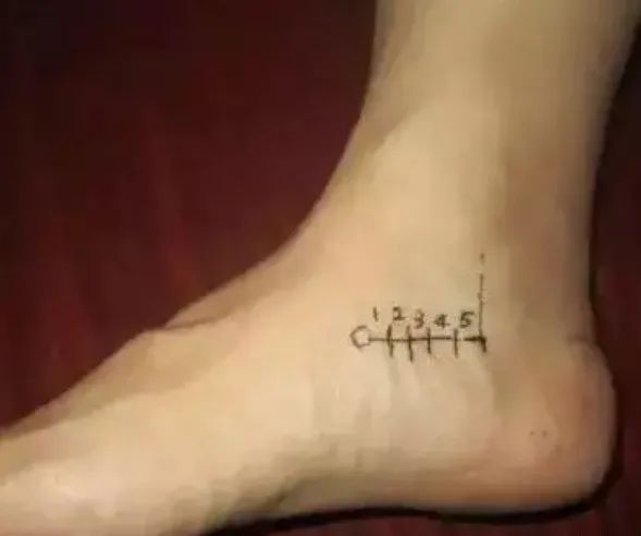 中医学——脚上的健康密码