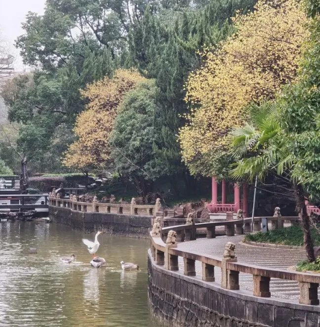 文言文中比诗词还美的50个句子，值得一读