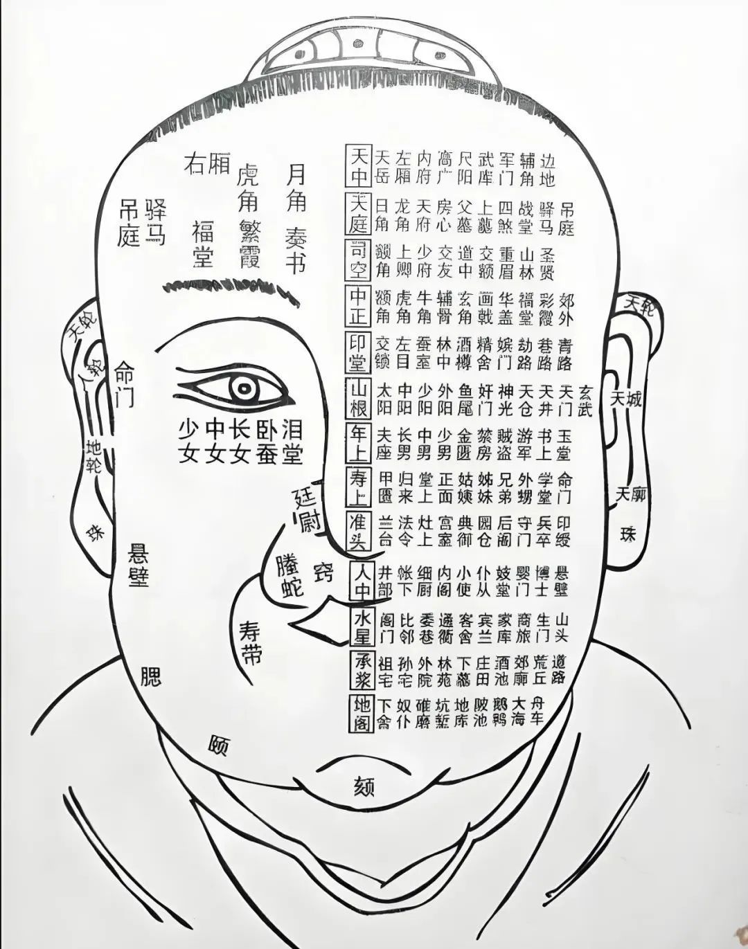 文章标题-3 相学——寿命诀:学会麻衣相,敢把生死量
