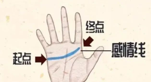 相学——感情线鉴定法