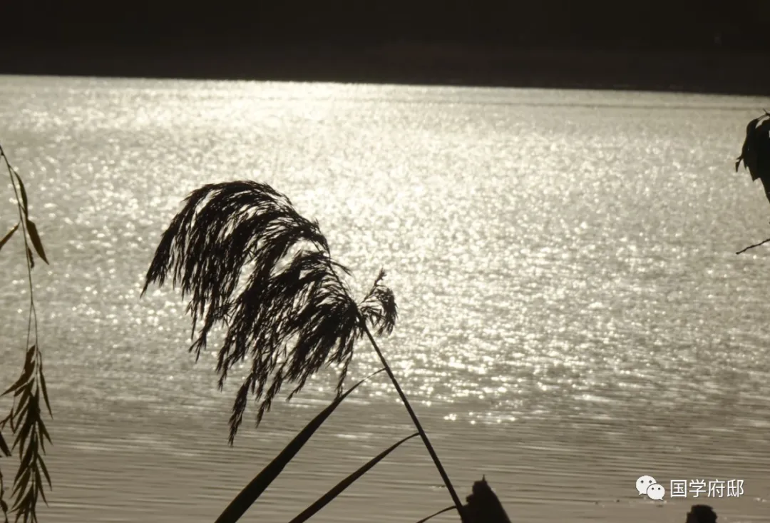 《水浒传》精华33句，句句智慧，读懂受益一生！
