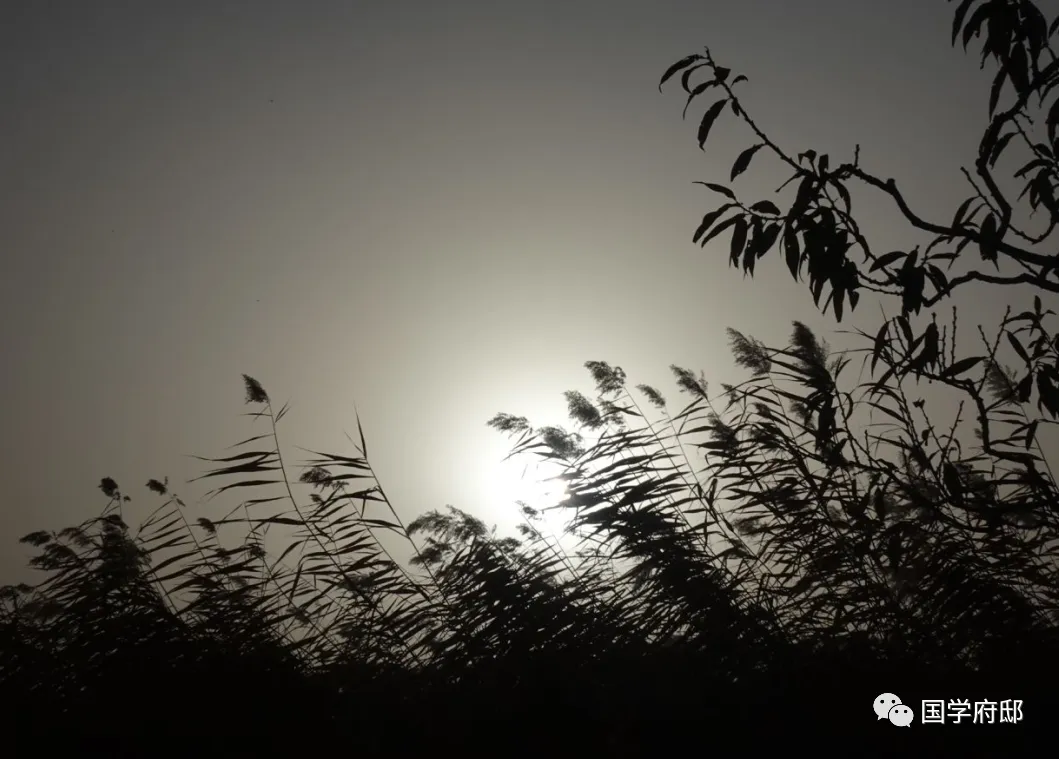 《水浒传》精华33句，句句智慧，读懂受益一生！