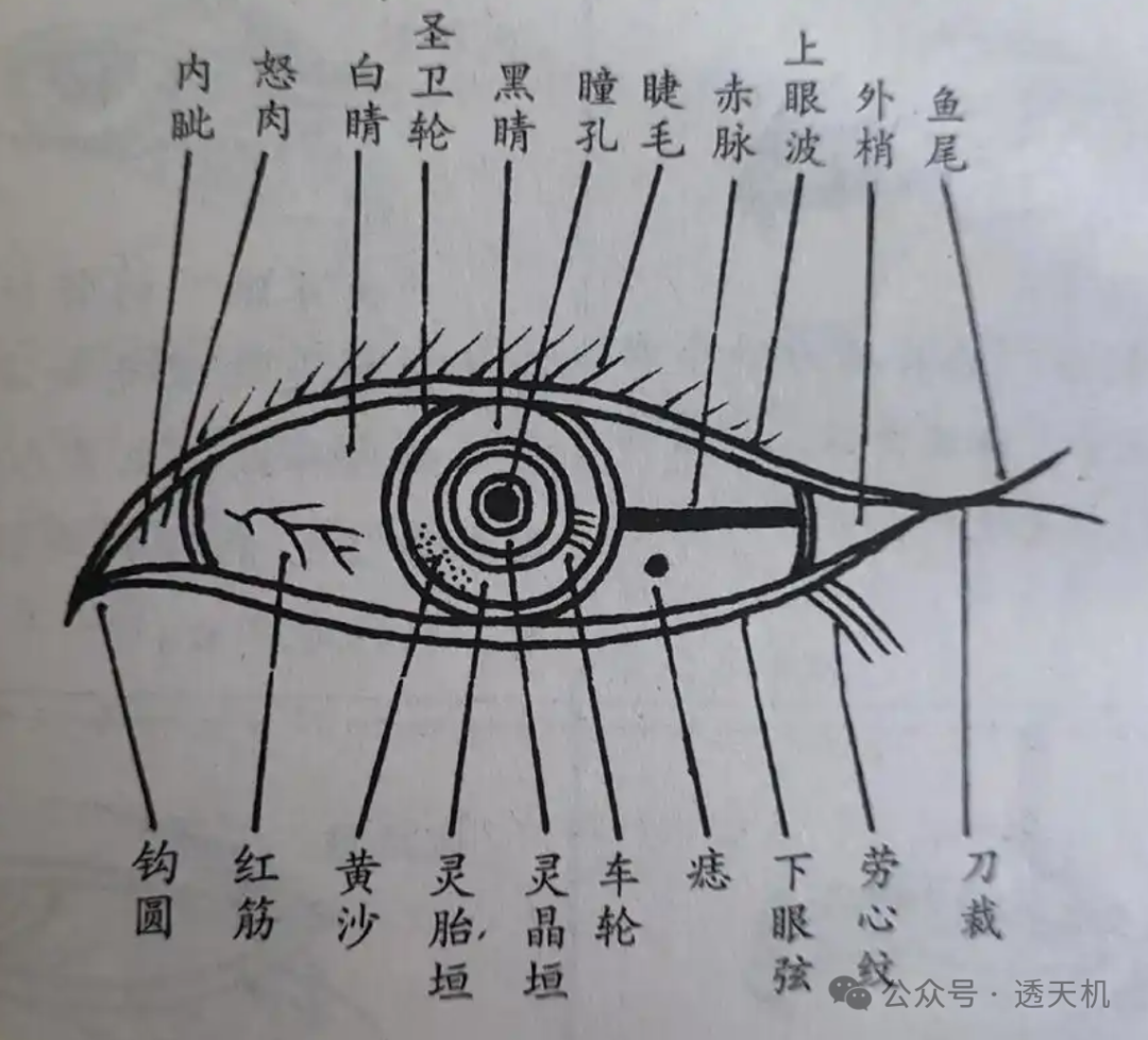 相学——相眼二十二法