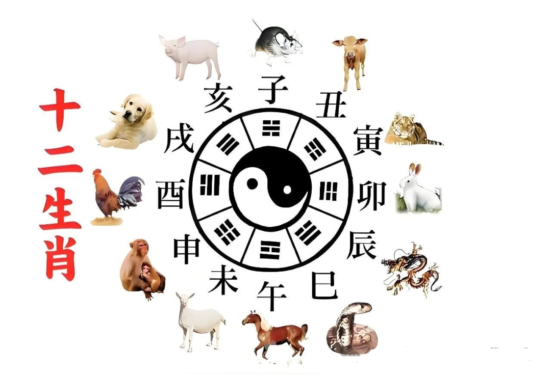 文章标题-2 易学知识——十二地支“分类取象”秘法