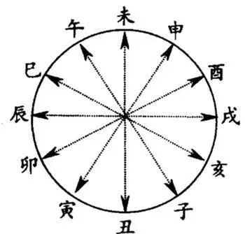 文章标题-5 易学知识——十二地支“分类取象”秘法