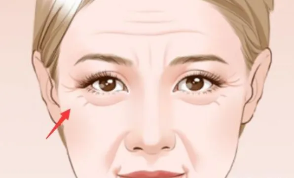 相学——面相铁口直断四十招（上、下）全篇