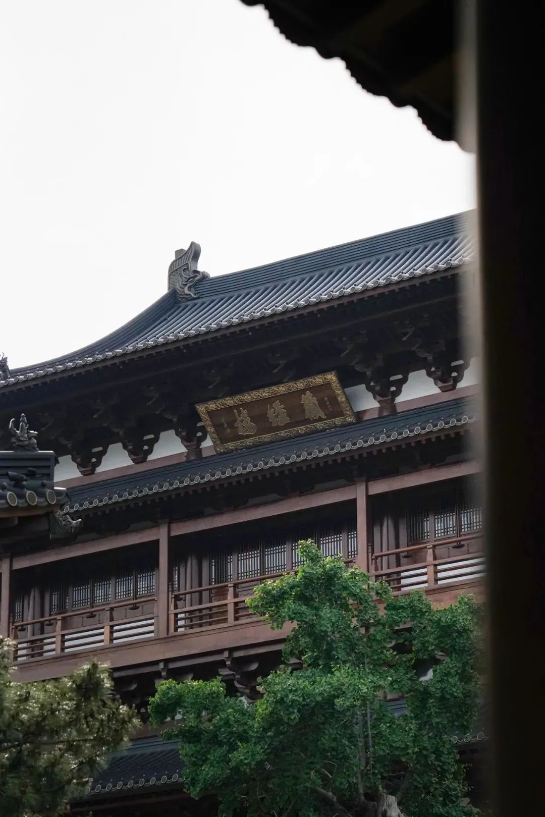 文章标题-20 《佛典浙韵:历史上的大藏经文化》丨黄宾虹旧藏敦煌写经、 历代版刻藏经集结,呈现千年佛典传承脉络!