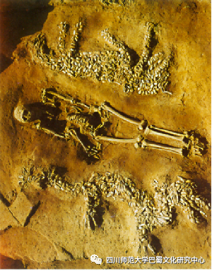 中华文明与龙蛇崇拜