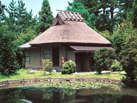 探秘奈良国立博物馆：藏在日本的 “大唐遗宝阁”