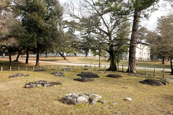 探秘奈良国立博物馆：藏在日本的 “大唐遗宝阁”