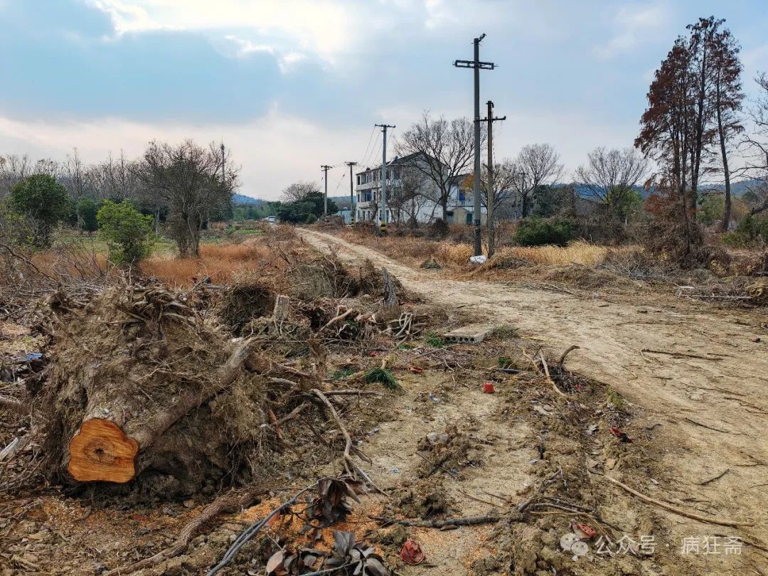文章标题-24 无锡五百年明代园林,被建筑垃圾填没!