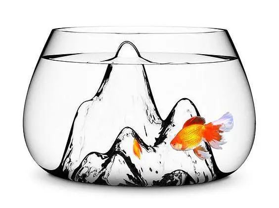 家中财位应如何布置