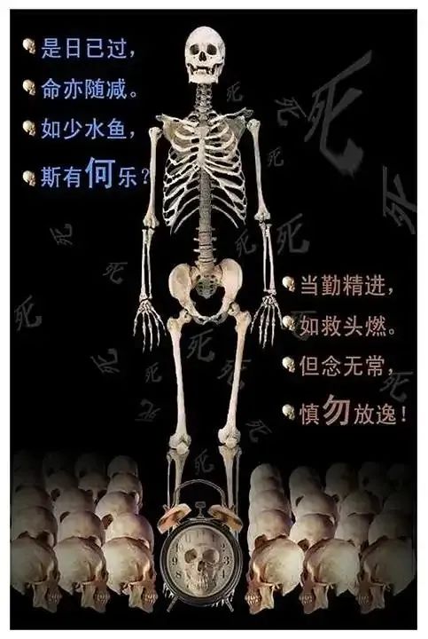 相学三昧：玄枢照相如琢玉，虚空破障见真章