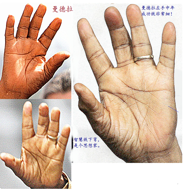 快来看看你手上有没有这十二种大富大贵的手相