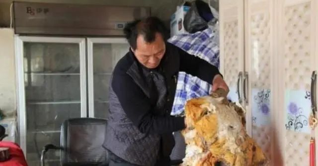 文章标题-4 “太岁”是什么东西?中国科学家们研究发现,其组成成分过于复杂