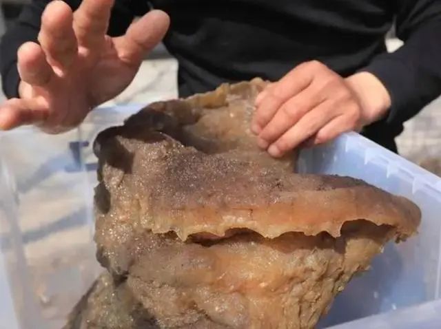 文章标题-8 “太岁”是什么东西?中国科学家们研究发现,其组成成分过于复杂