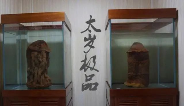 文章标题-10 “太岁”是什么东西?中国科学家们研究发现,其组成成分过于复杂