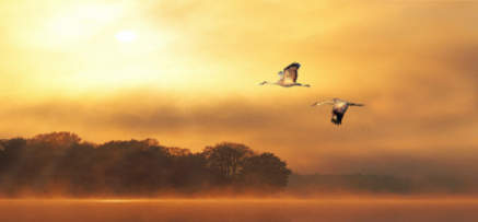 赶考路上遇一对大雁殉情而忙，16岁少年写下千古名篇