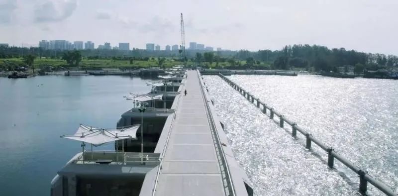 文章标题-11 原来新加坡这么迷信!